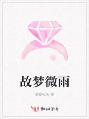 故梦微雨