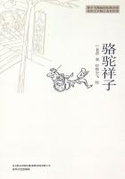 迷案重重，大佬的宠妻傲骨难驯
