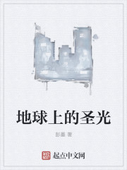 地球上的圣光