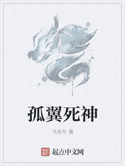 孤翼死神