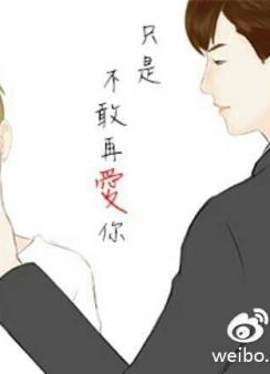 只是不敢再爱你