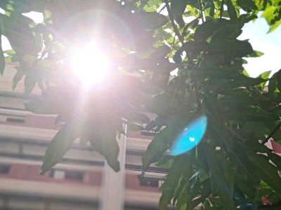 告白告到情敌床上了