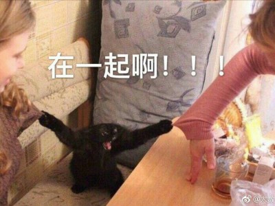 我饭的冷门cp天天发糖