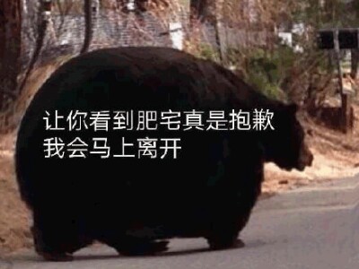 与伪冷淡真肥宅男友的二三事