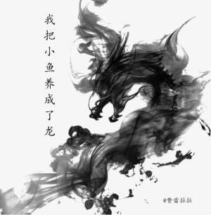 我把小鱼养成了龙