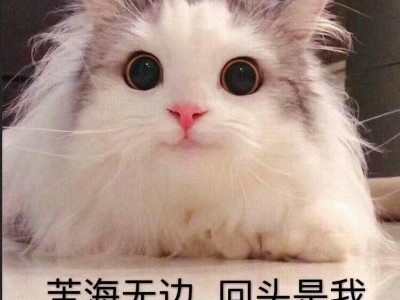 非正常幻想指南
