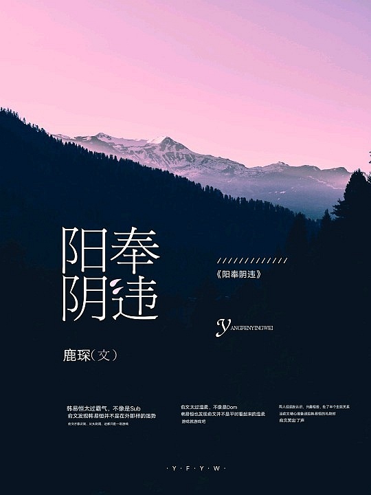 阳奉阴违（bdsm）