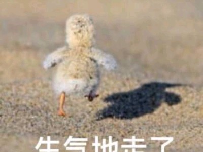 魏精