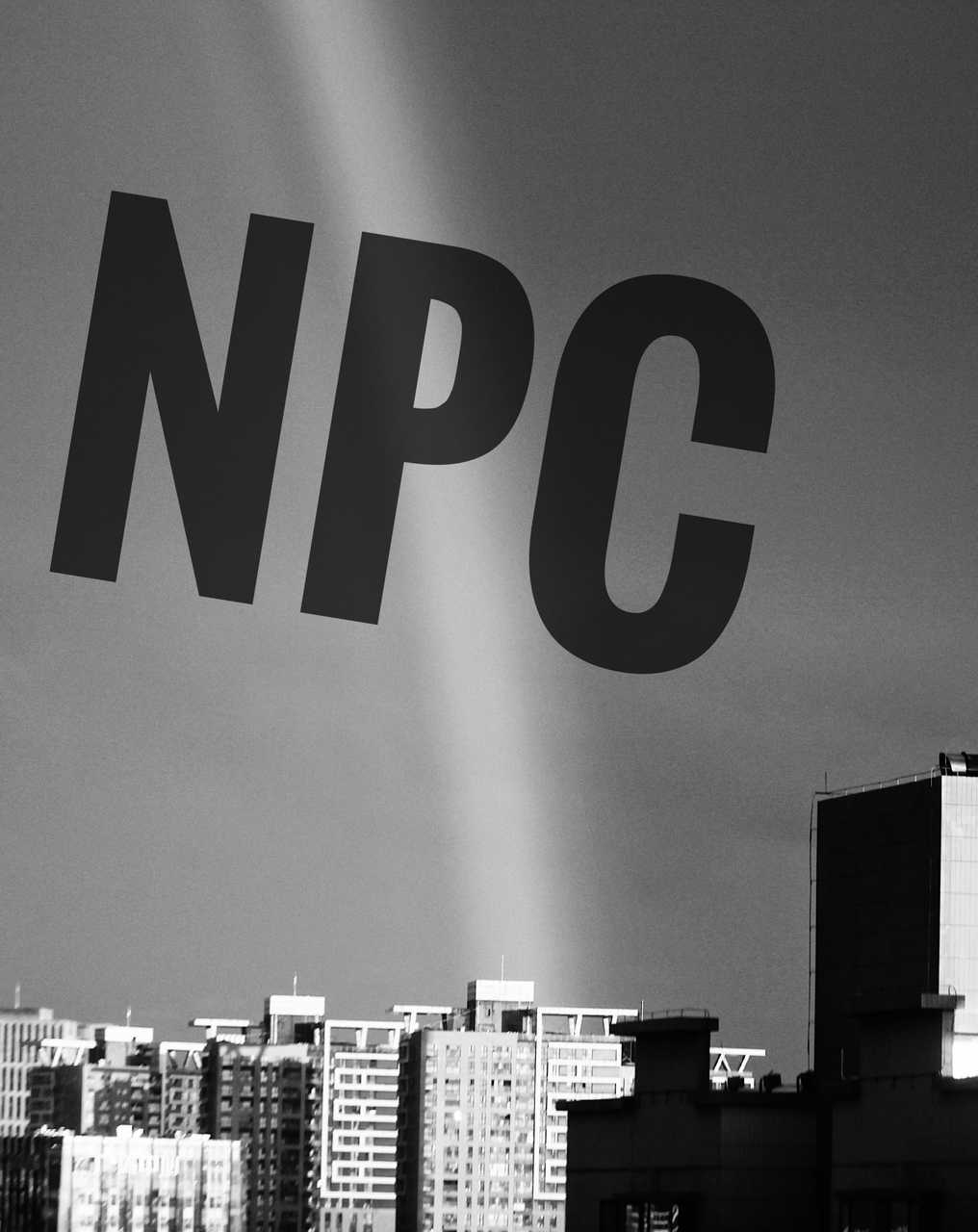 NPC（非玩家角色）