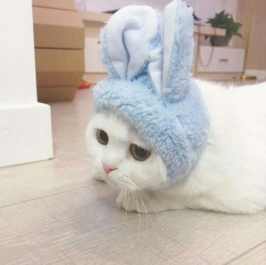方圆百里