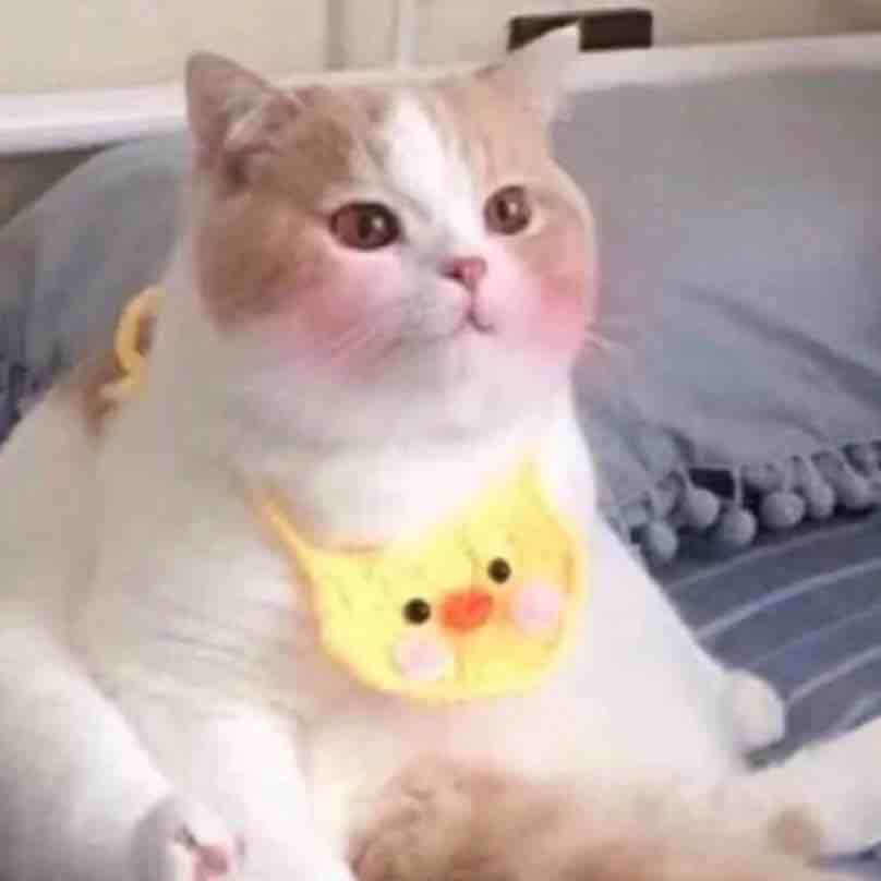 偶遇星河一叶舟