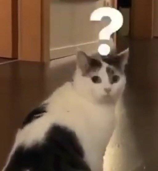 遗憾