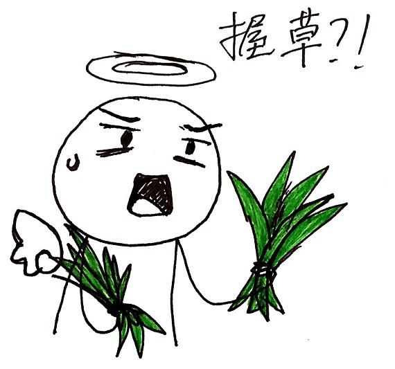 封楼（一）