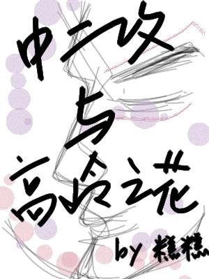 中二攻与高岭之花