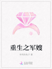 重生之军嫂