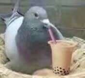 你描述的世界