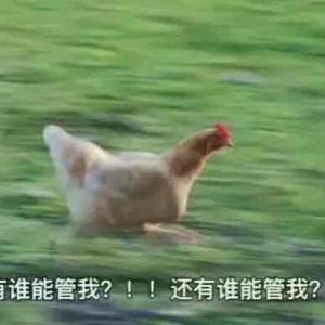 他瞎了眼才会喜欢我