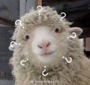 焦糖眼泪