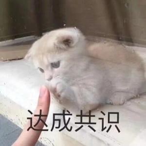只网恋，不奔现