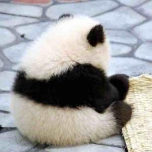 逆足